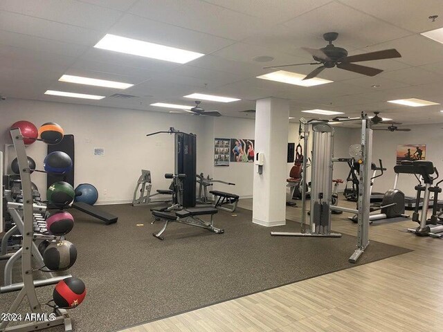 workout area with a drop ceiling, ceiling fan, and hardwood / wood-style flooring