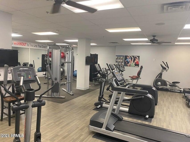 gym featuring light hardwood / wood-style floors, ceiling fan, and a drop ceiling