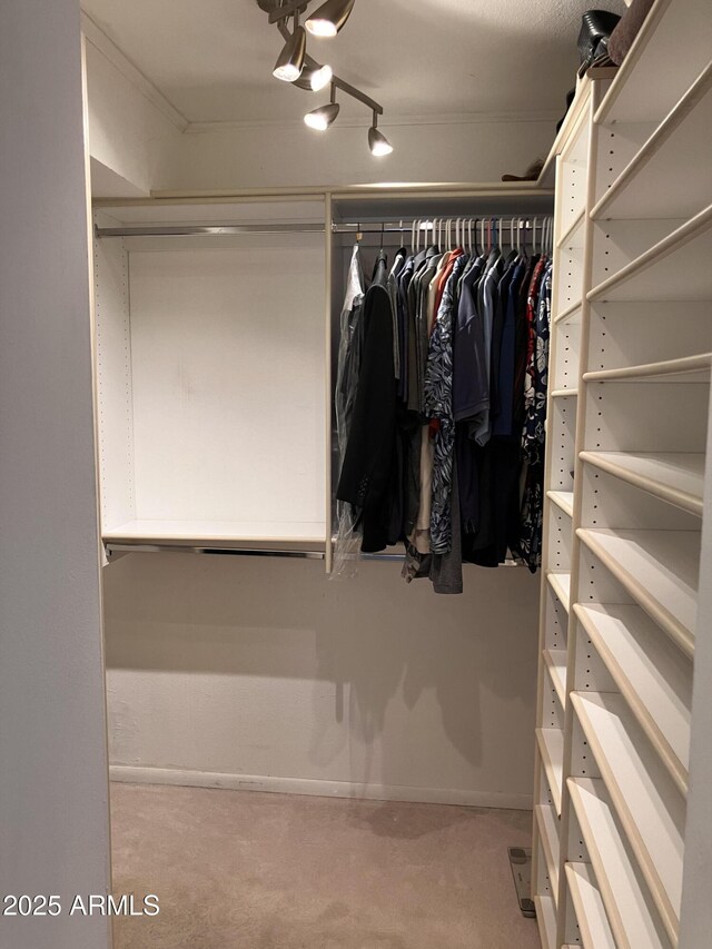 8355 E Via De Encanto, Scottsdale, AZ 85258 - view of walk in closet