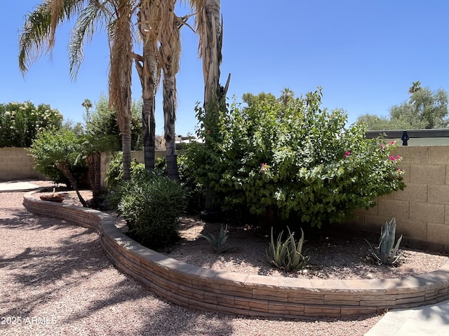 8355 E Via De Encanto, Scottsdale, AZ 85258 - view of yard
