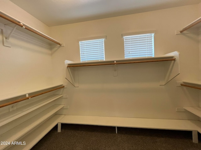 walk in closet with carpet floors