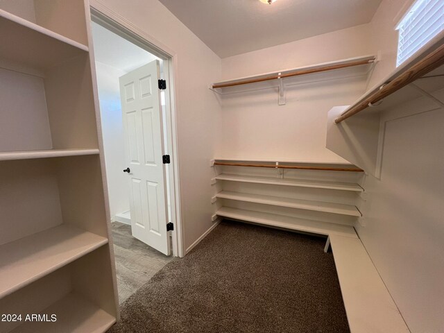 spacious closet featuring light colored carpet