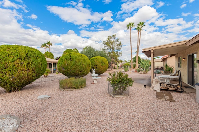 view of yard featuring a patio