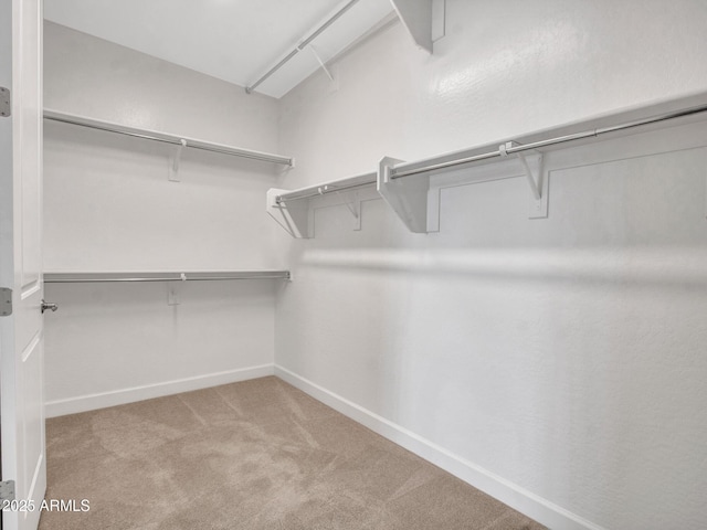 16881 W Merrell St, Goodyear, AZ 85395 - walk in closet with carpet floors