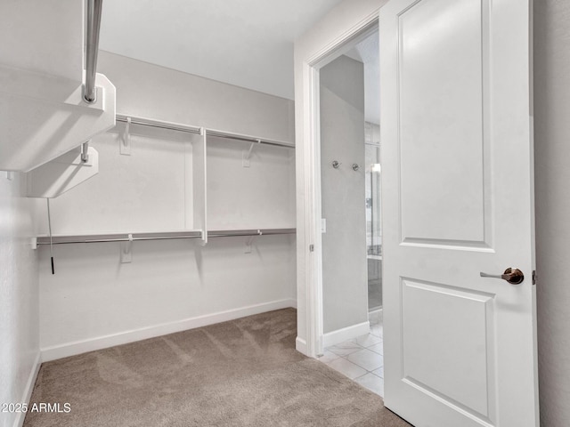 16881 W Merrell St, Goodyear, AZ 85395 - walk in closet with carpet flooring
