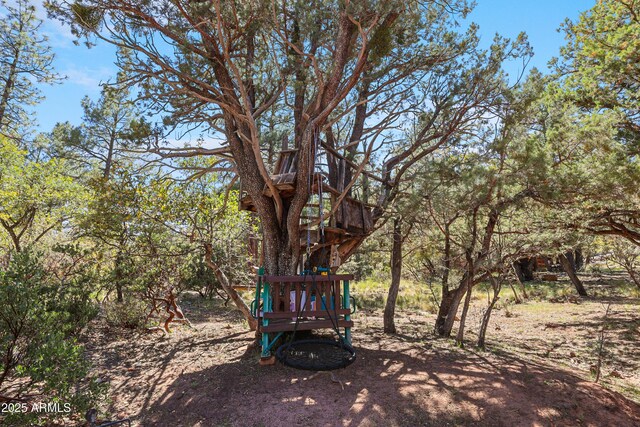 4872 N Trails End Dr, Pine, AZ 85544 - view of yard featuring a playground