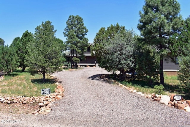 view of road with gravel driveway