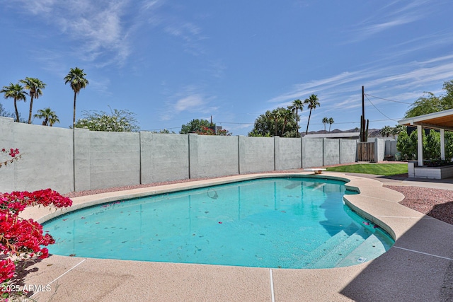 9851 N 28th Way, Phoenix, AZ 85028 - view of swimming pool featuring a fenced in pool and a fenced backyard