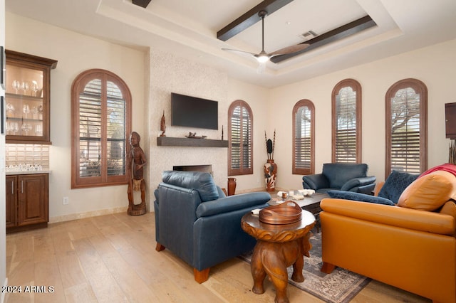 living room featuring light hardwood / wood-style floors, a tray ceiling, a large fireplace, and plenty of natural light