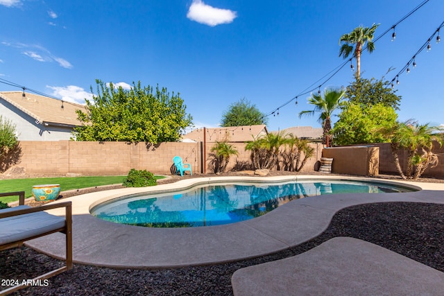 view of swimming pool featuring a patio area