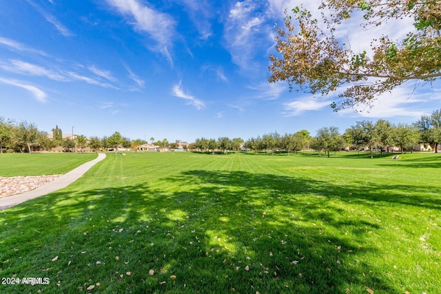 view of property's community with a lawn