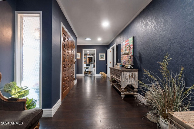 hall featuring ornamental molding and dark hardwood / wood-style floors