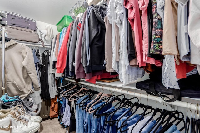 walk in closet featuring carpet flooring