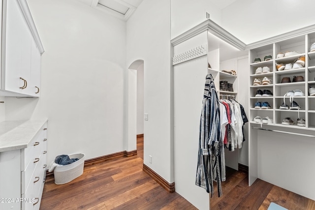 spacious closet featuring dark hardwood / wood-style floors