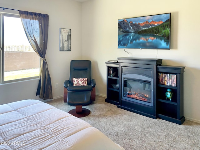 2525 N Riverside Dr, Florence, AZ 85132 - bedroom featuring carpet floors, a glass covered fireplace, multiple windows, and baseboards