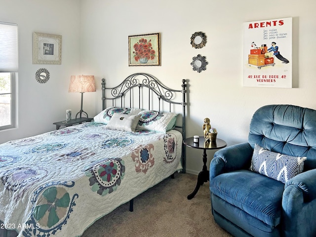 2525 N Riverside Dr, Florence, AZ 85132 - bedroom with carpet