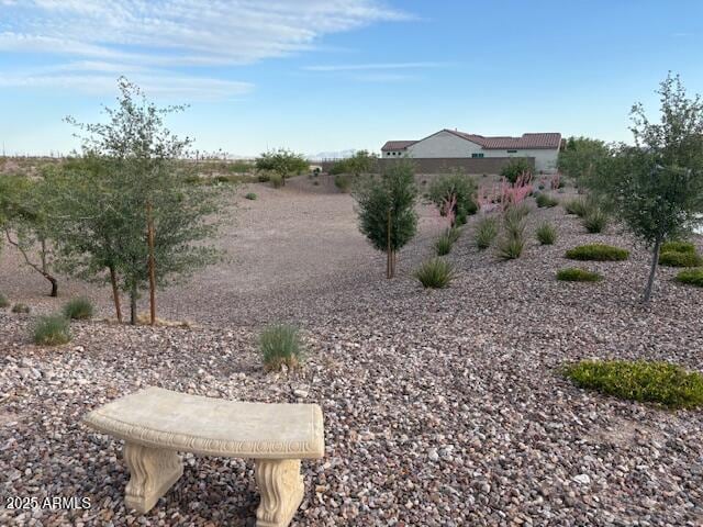 2525 N Riverside Dr, Florence, AZ 85132 - view of yard