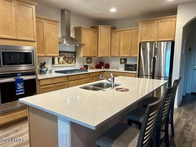 2525 N Riverside Dr, Florence, AZ 85132 - kitchen featuring appliances with stainless steel finishes, wall chimney range hood, a sink, light wood-style flooring, and recessed lighting
