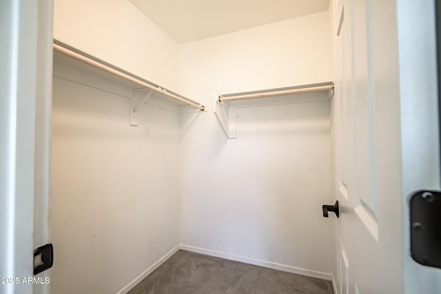 spacious closet with dark colored carpet