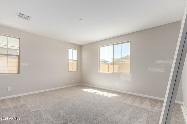 carpeted empty room featuring a wealth of natural light