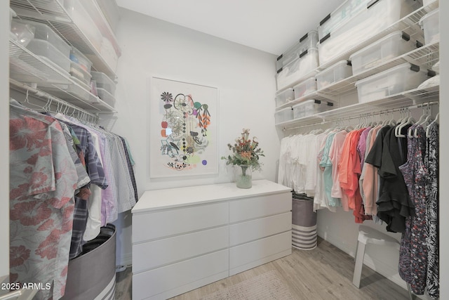 18746 W Rancho Dr, Litchfield Park, AZ 85340 - spacious closet featuring wood finished floors