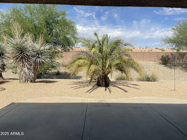 view of yard featuring a patio