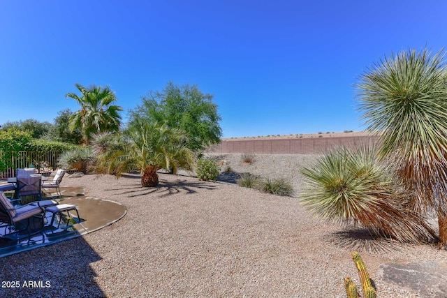 view of yard featuring a patio