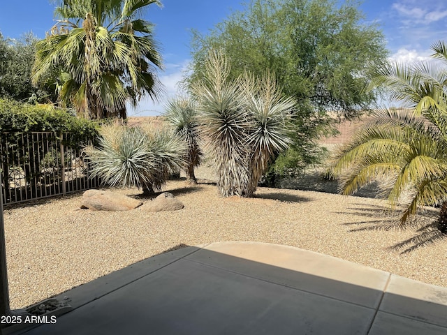 view of yard with a patio