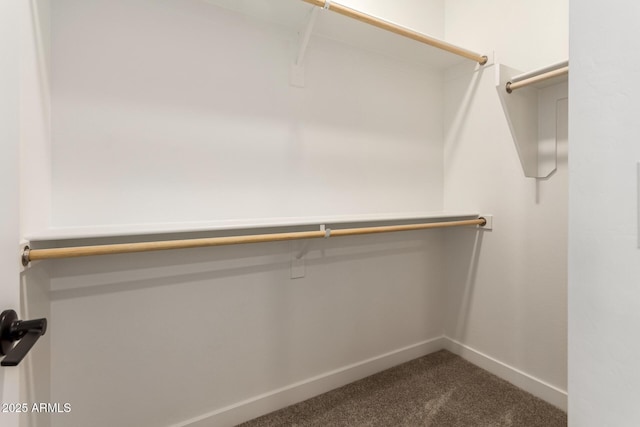 5641 N 205th Ln, Buckeye, AZ 85396 - spacious closet with dark colored carpet