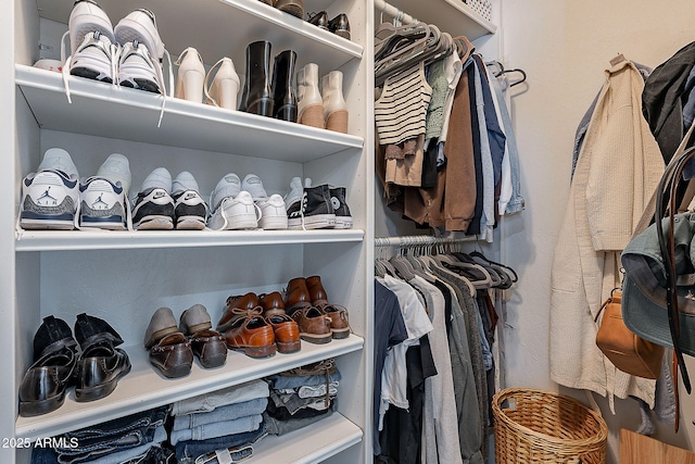 view of walk in closet
