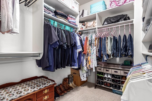 5628 N Rattler Way, Litchfield Park, AZ 85340 - walk in closet featuring carpet floors