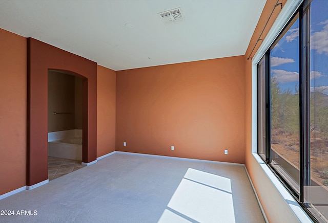 spare room with light colored carpet