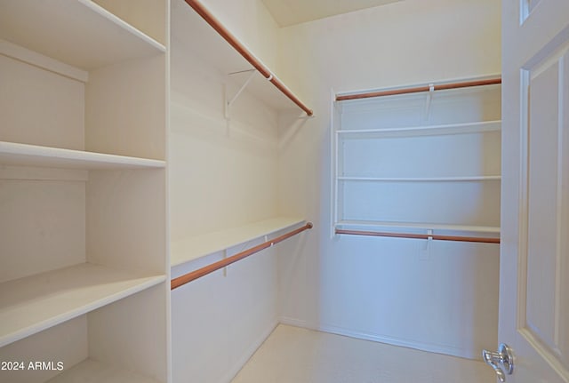 spacious closet featuring carpet flooring