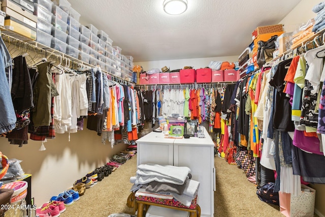 spacious closet featuring carpet floors