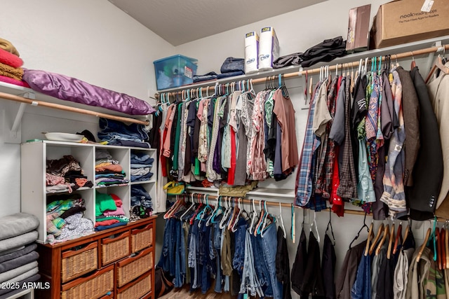 view of walk in closet