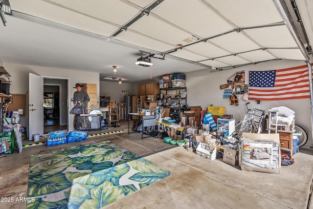 19930 N 98th Ave, Peoria, AZ 85382 - garage with a garage door opener