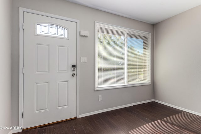 foyer entrance with a wealth of natural light and dark hardwood / wood-style flooring