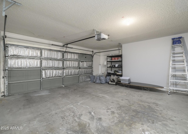 10613 S 41st Pl, Phoenix, AZ 85044 - garage with a garage door opener