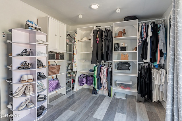 spacious closet with wood-type flooring