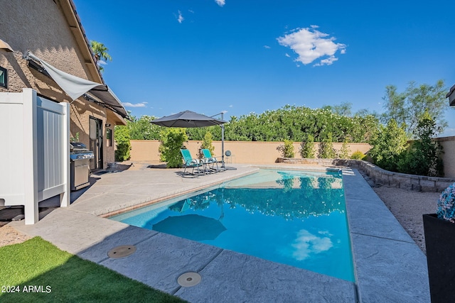 view of pool featuring a grill and a patio area