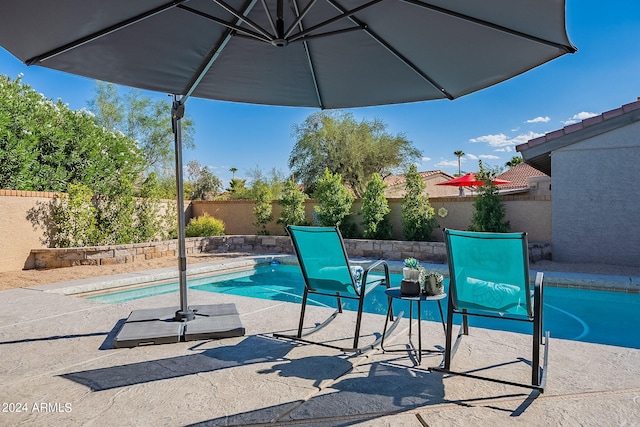 view of pool featuring a patio