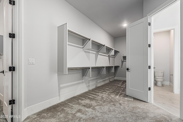 3653 E Runaway Bay Pl, Queen Creek, AZ 85142 - spacious closet featuring carpet