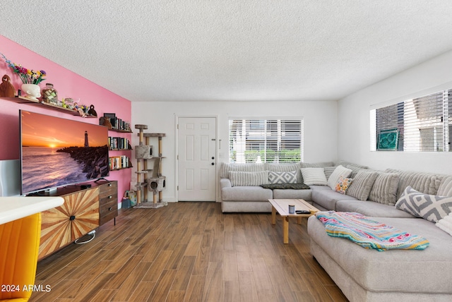 living room with wood-type flooring and a textured ceiling