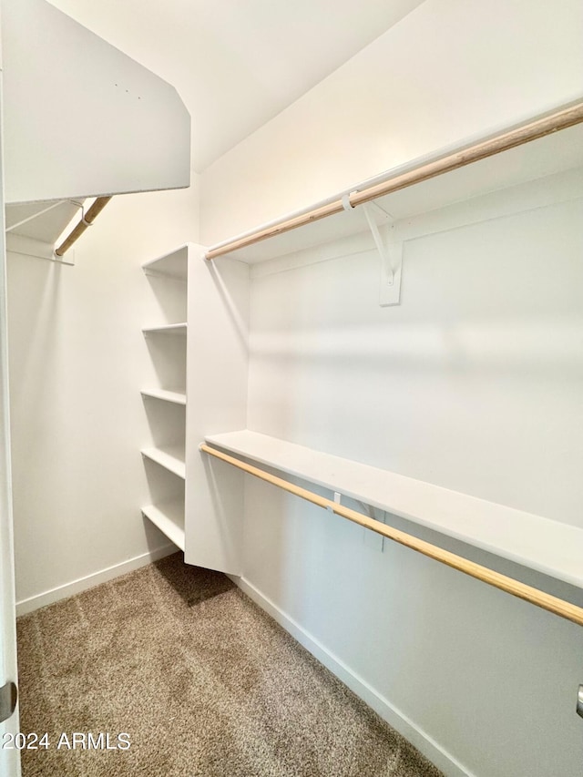 spacious closet with carpet flooring