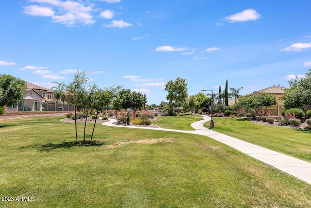 921 E Canyon Way, Chandler, AZ 85249 - view of home's community featuring a yard