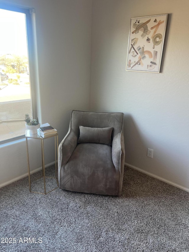 sitting room with carpet floors