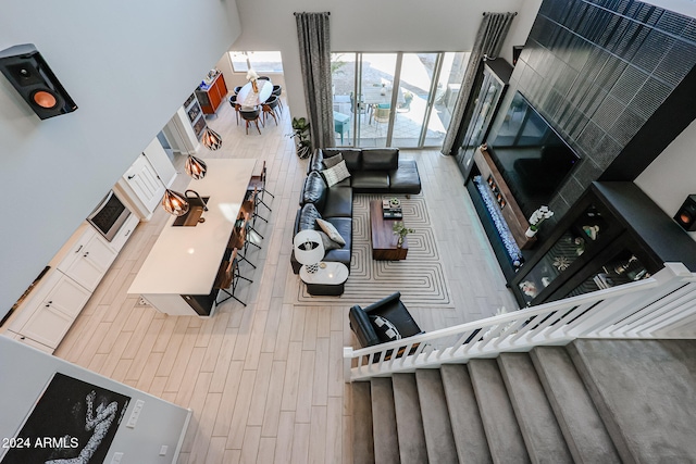 living room featuring wood-type flooring and a high ceiling