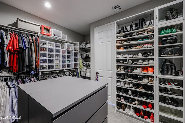 view of walk in closet