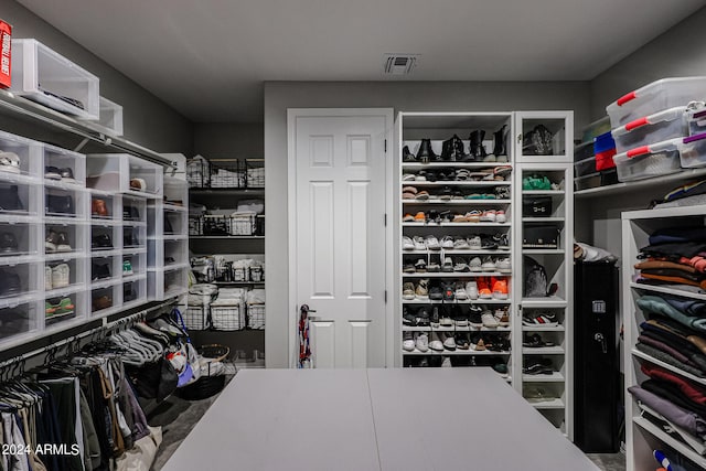 view of walk in closet