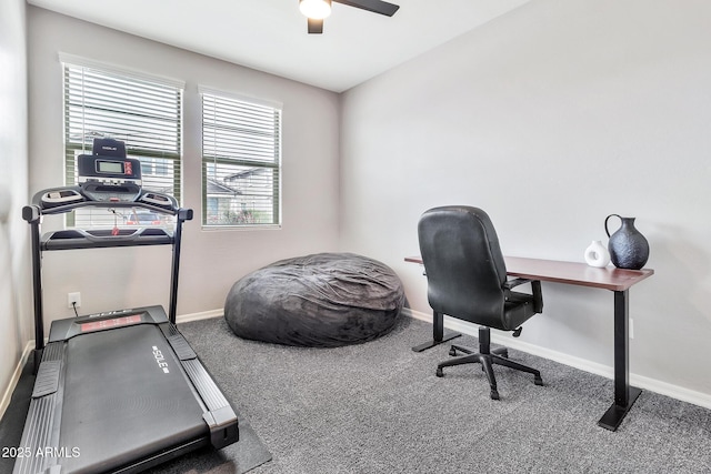 office space featuring carpet flooring, ceiling fan, and baseboards